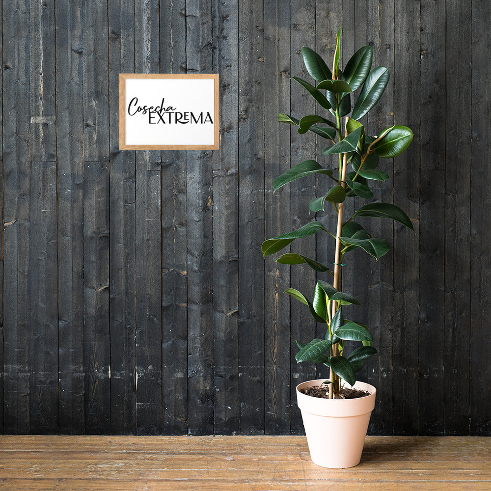 Wood Framed Cosecha Extrema
