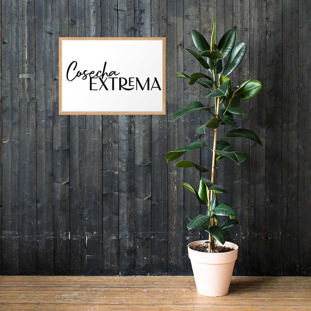 Wood Framed Cosecha Extrema