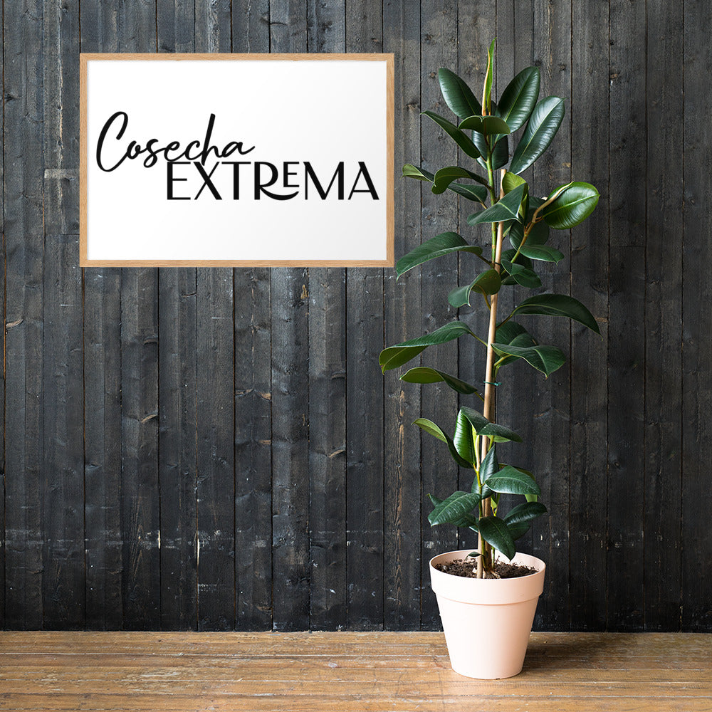 Wood Framed Cosecha Extrema